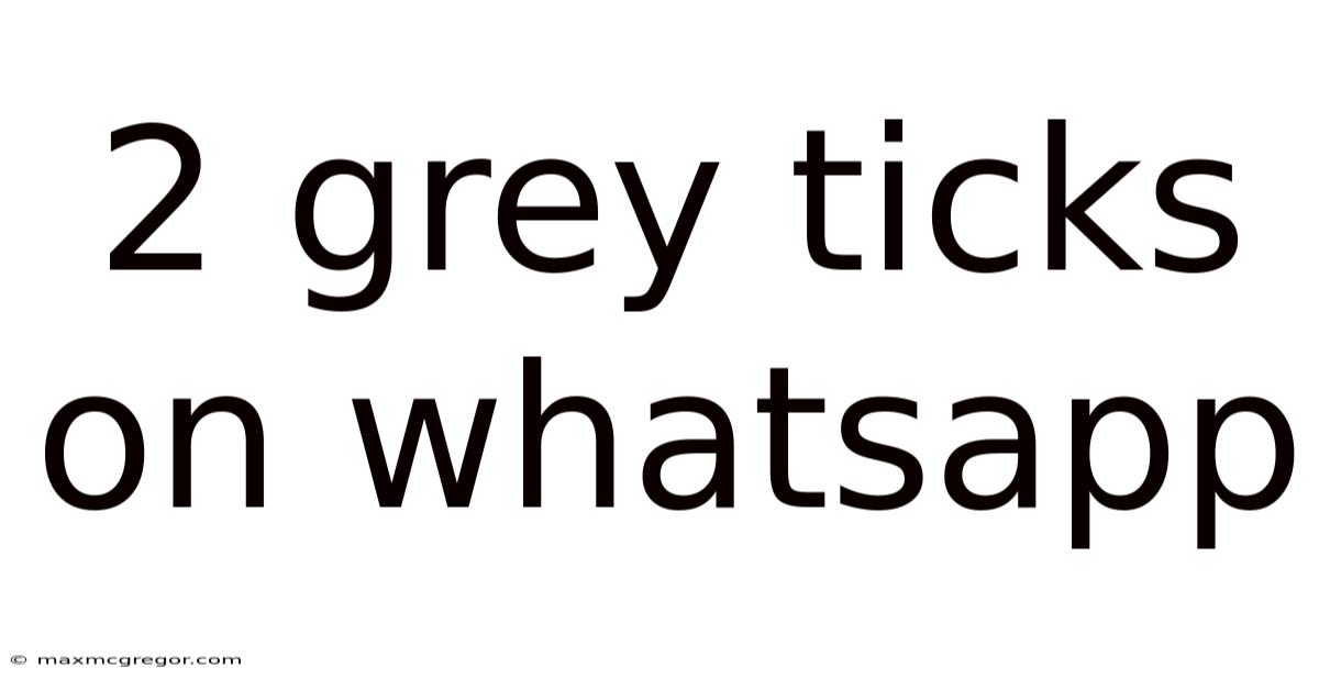 2 Grey Ticks On Whatsapp