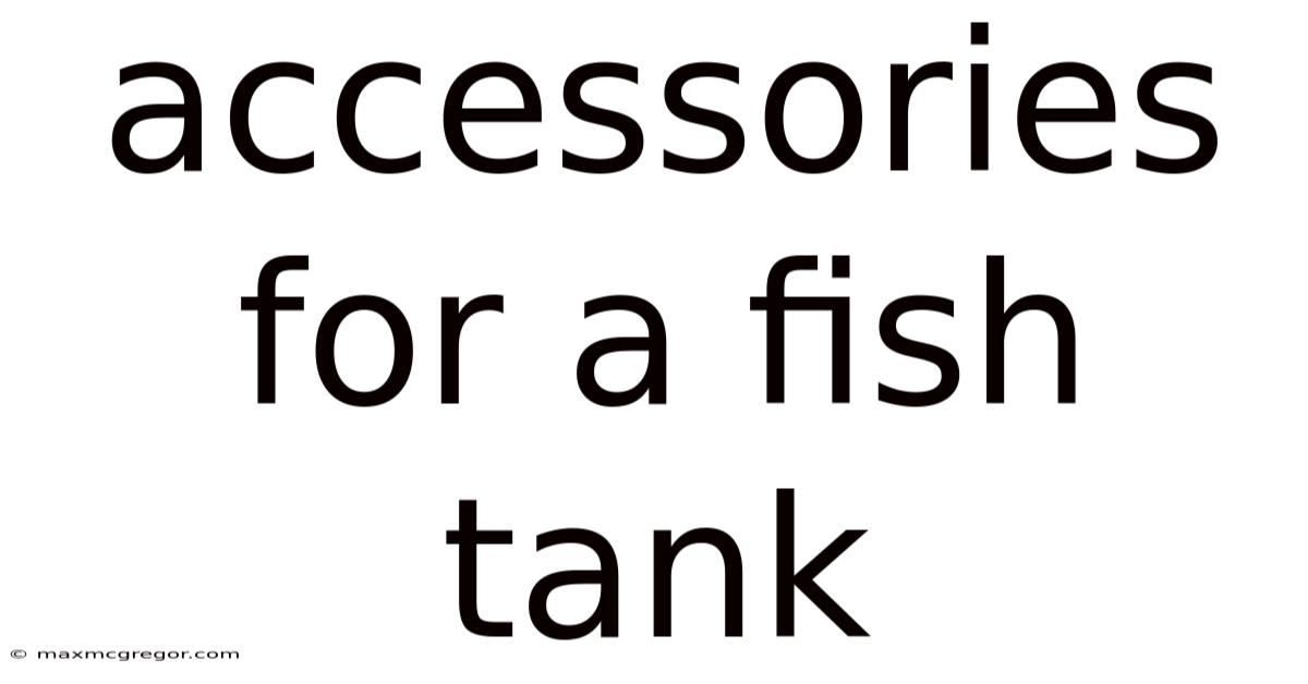Accessories For A Fish Tank
