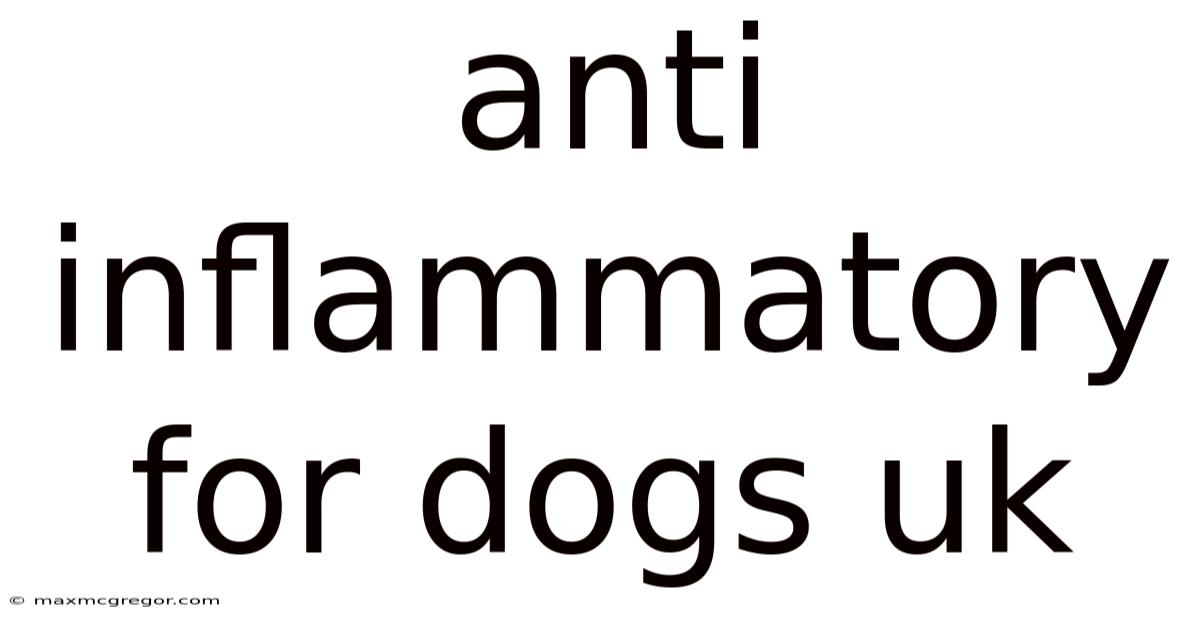 Anti Inflammatory For Dogs Uk