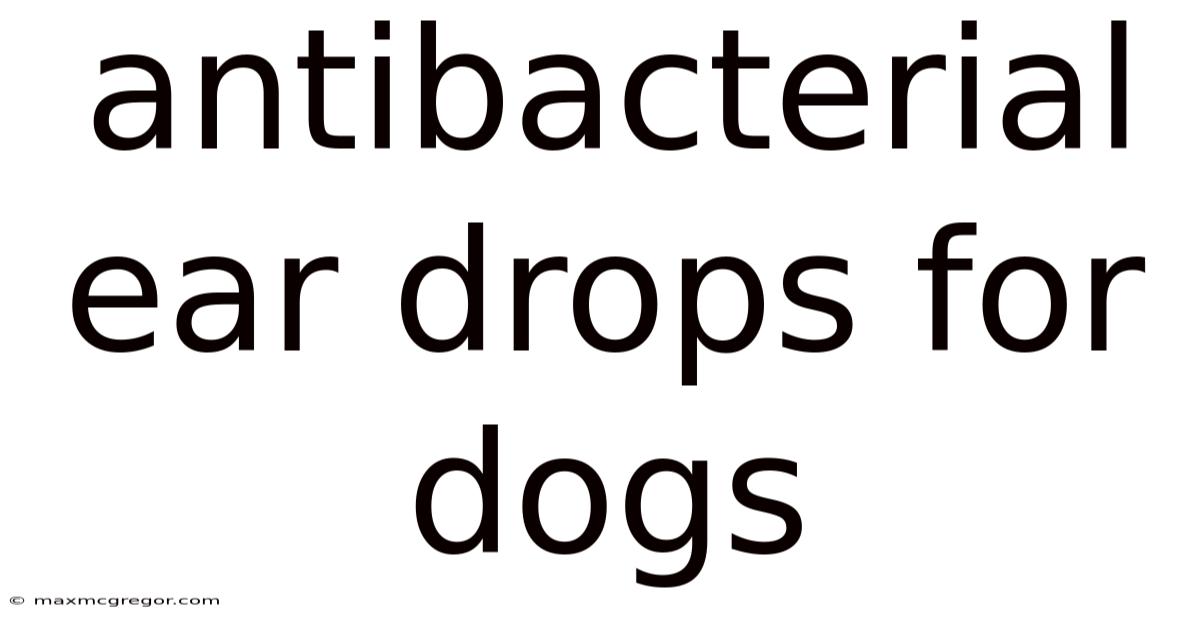 Antibacterial Ear Drops For Dogs