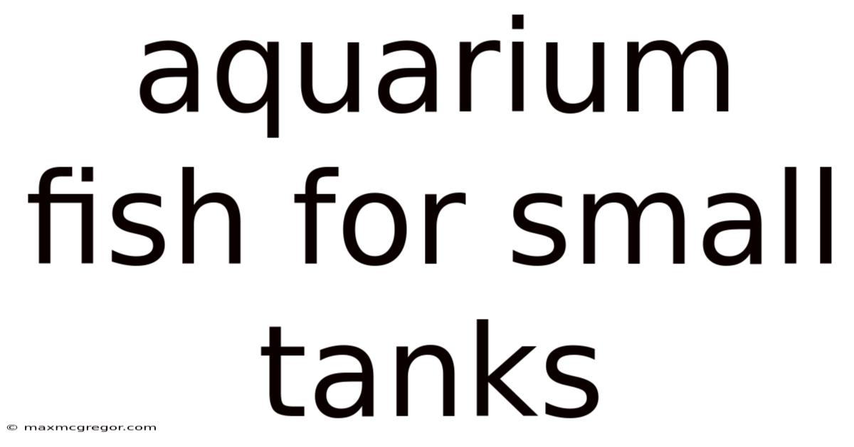 Aquarium Fish For Small Tanks