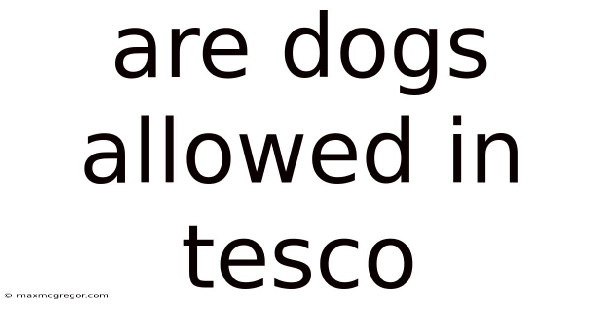 Are Dogs Allowed In Tesco