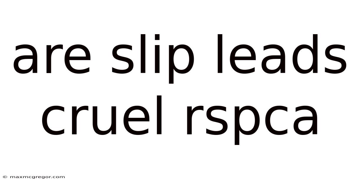 Are Slip Leads Cruel Rspca