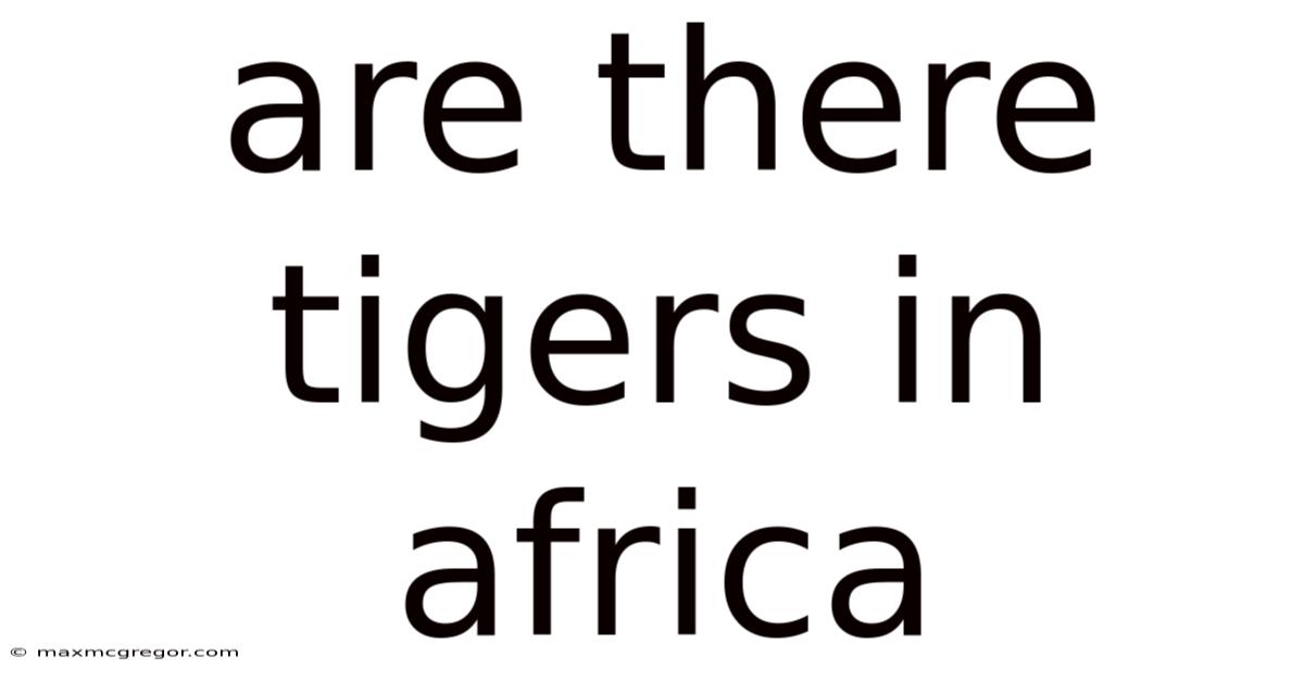 Are There Tigers In Africa