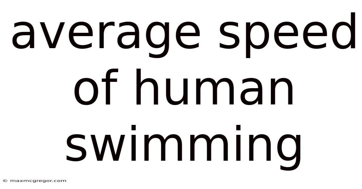 Average Speed Of Human Swimming