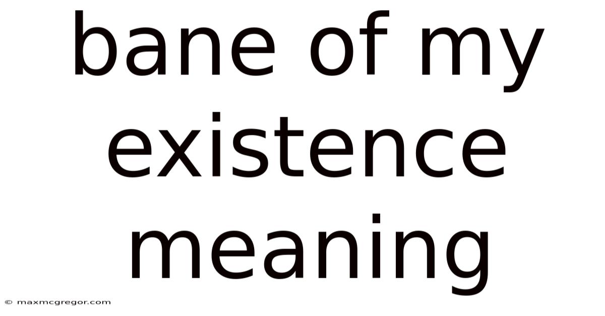 Bane Of My Existence Meaning