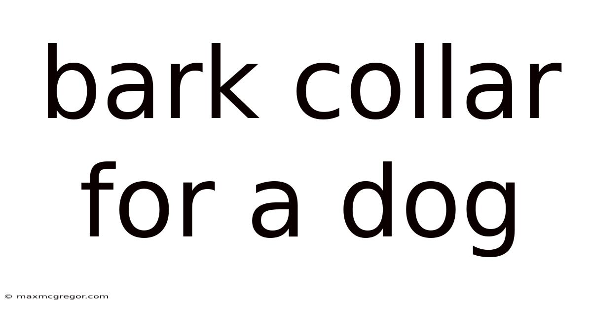 Bark Collar For A Dog