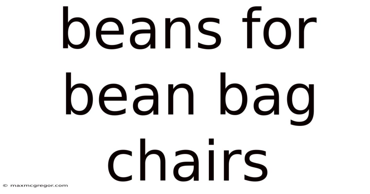 Beans For Bean Bag Chairs