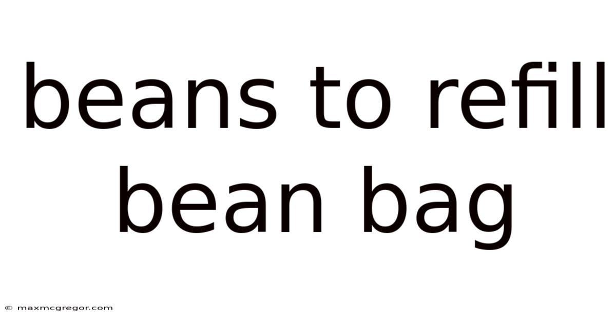 Beans To Refill Bean Bag
