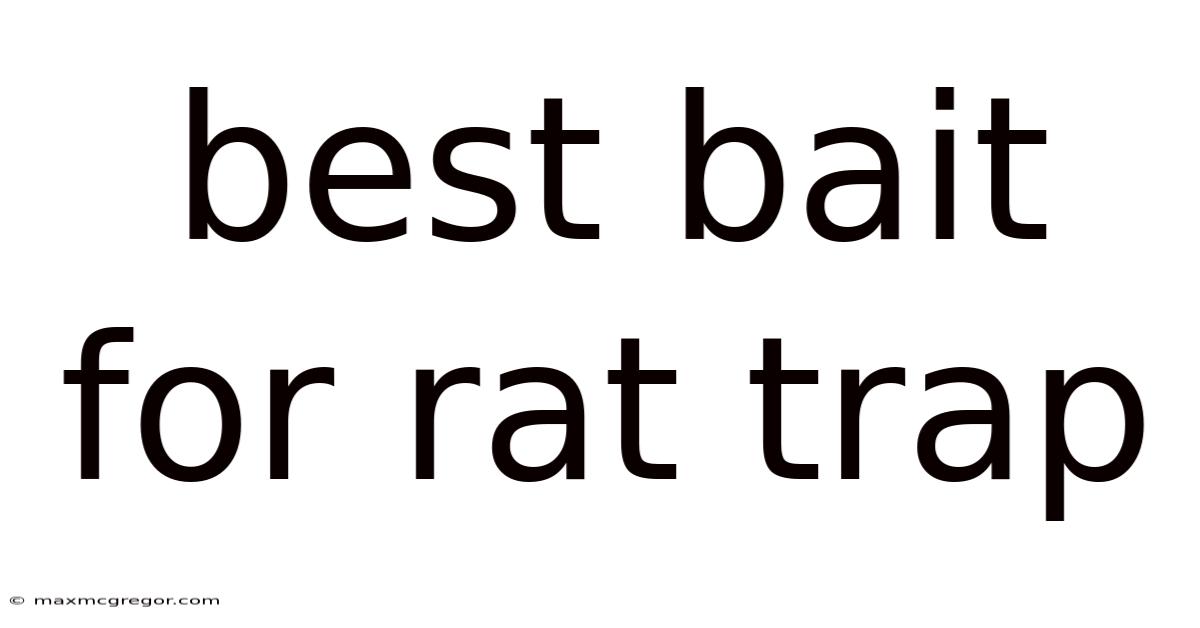 Best Bait For Rat Trap