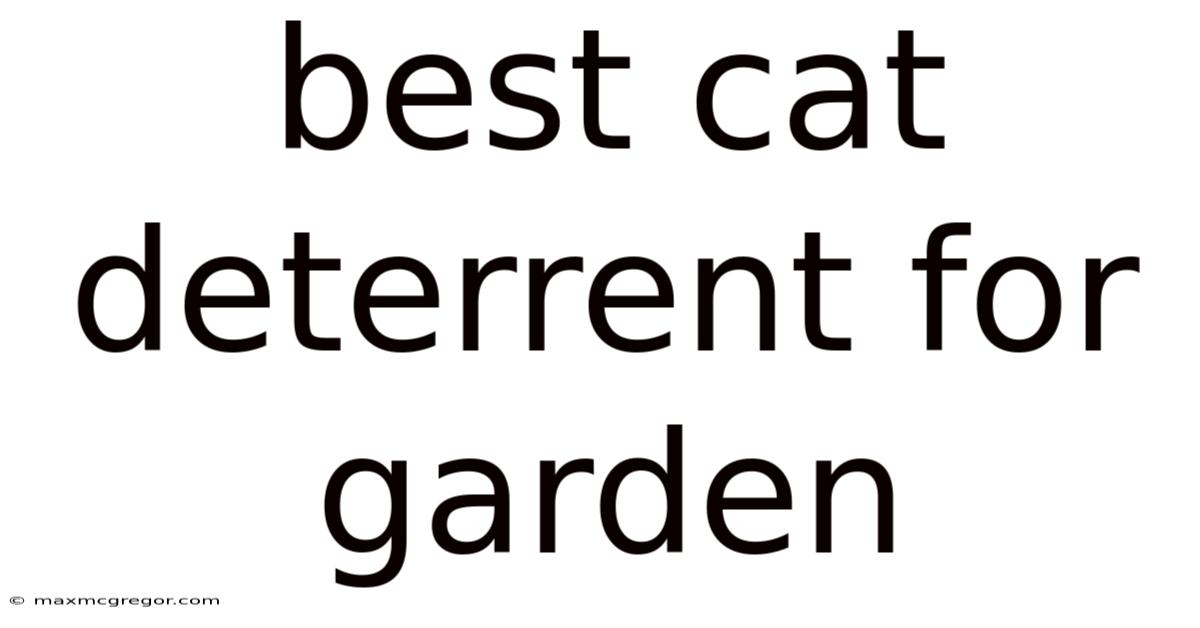 Best Cat Deterrent For Garden