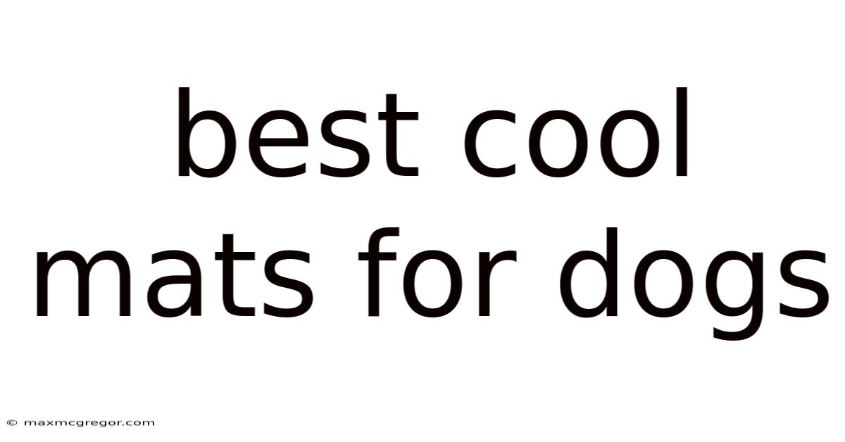Best Cool Mats For Dogs