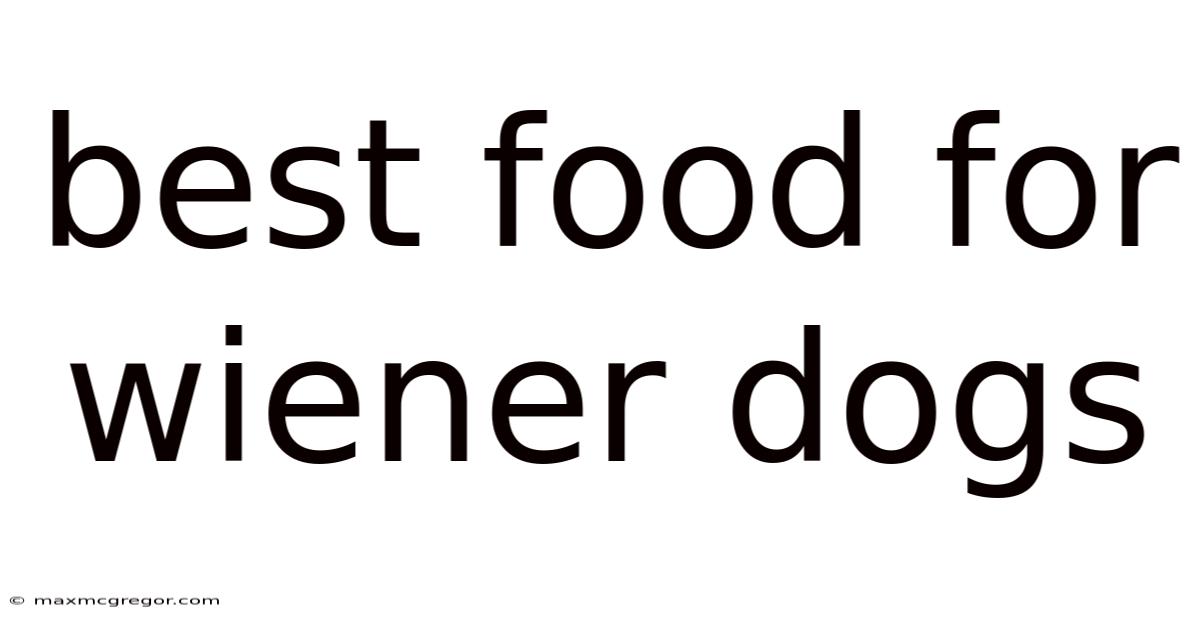 Best Food For Wiener Dogs