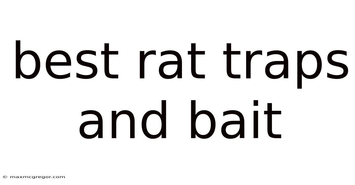 Best Rat Traps And Bait