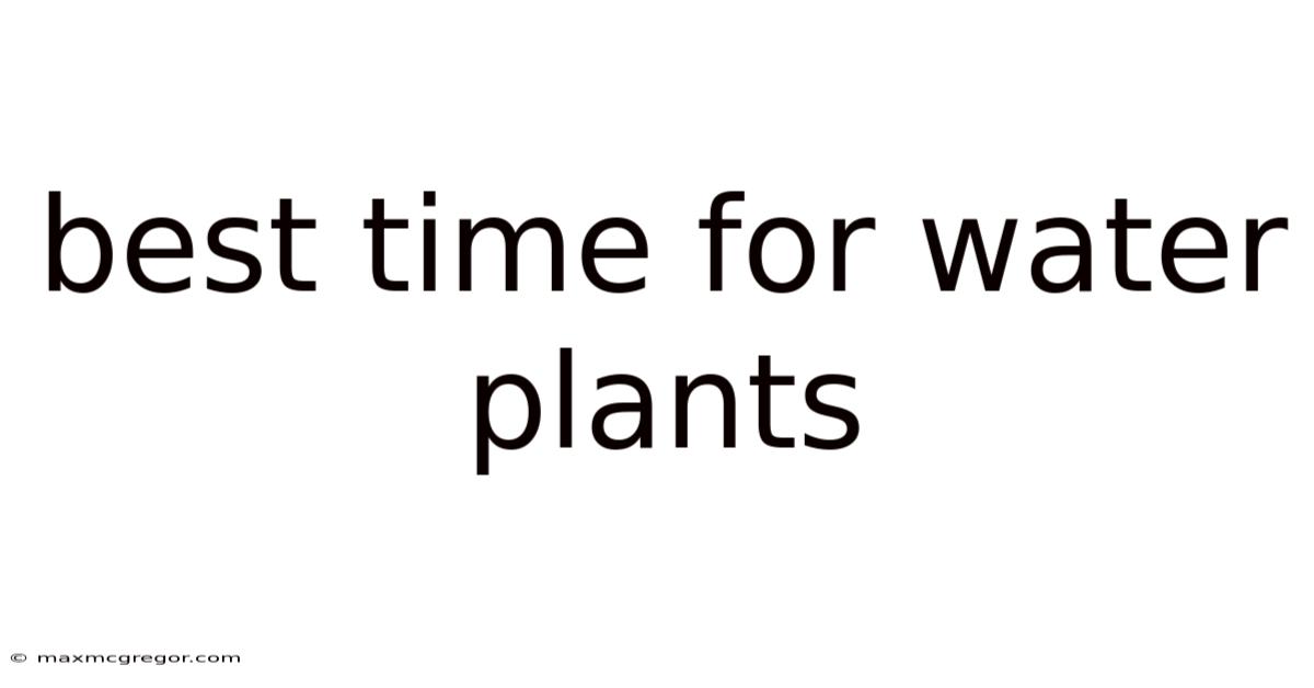 Best Time For Water Plants