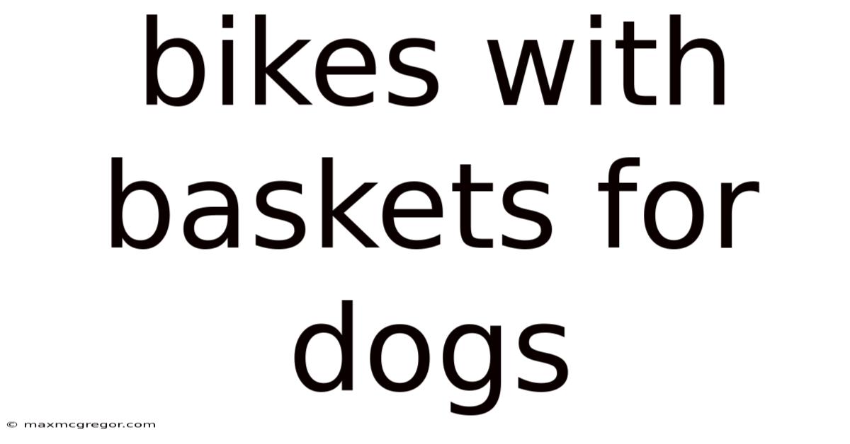 Bikes With Baskets For Dogs