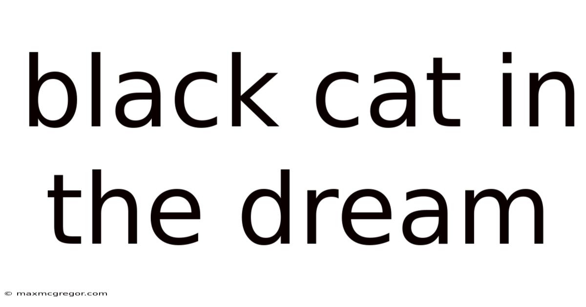 Black Cat In The Dream