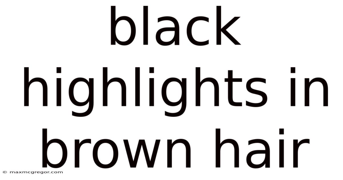 Black Highlights In Brown Hair