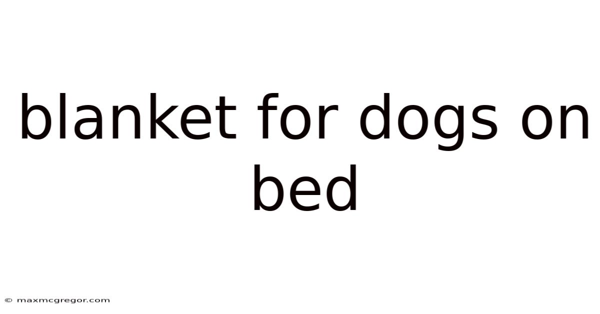 Blanket For Dogs On Bed