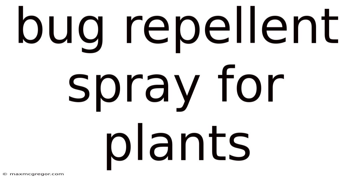 Bug Repellent Spray For Plants