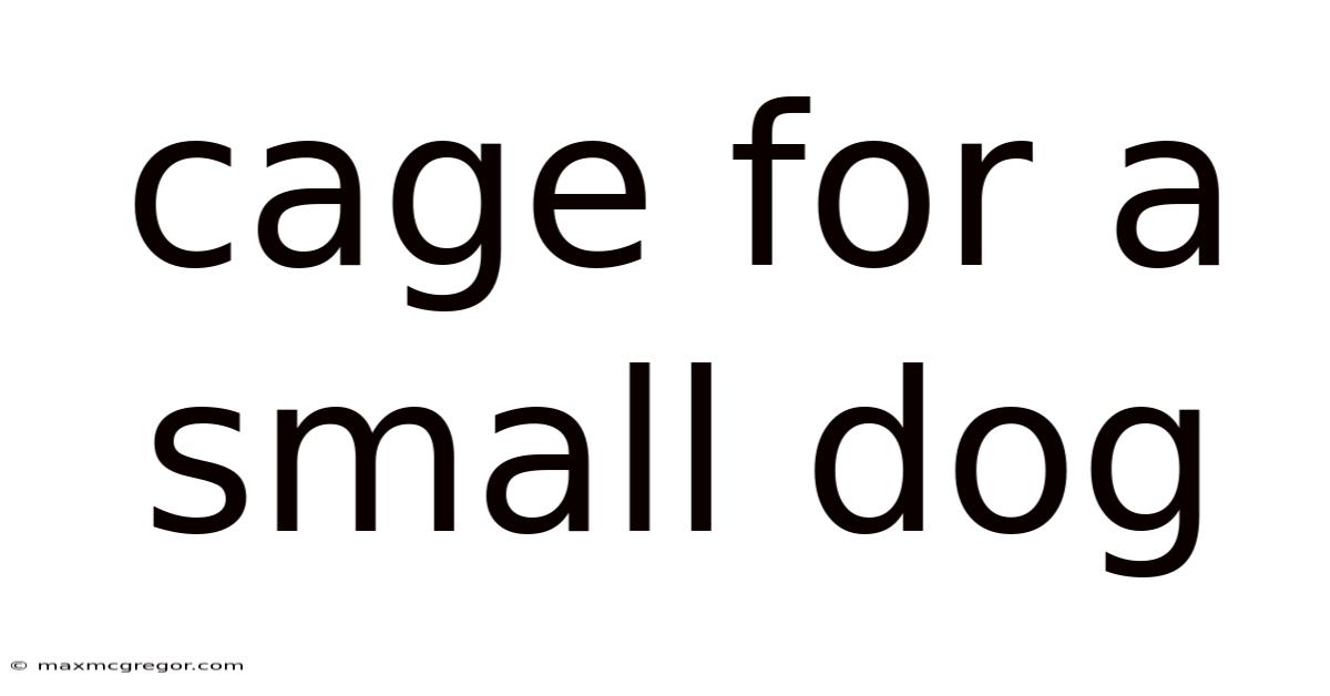 Cage For A Small Dog