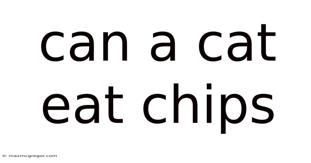 Can A Cat Eat Chips