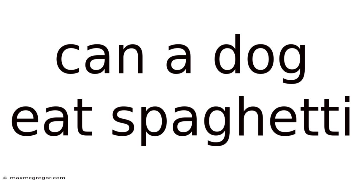 Can A Dog Eat Spaghetti