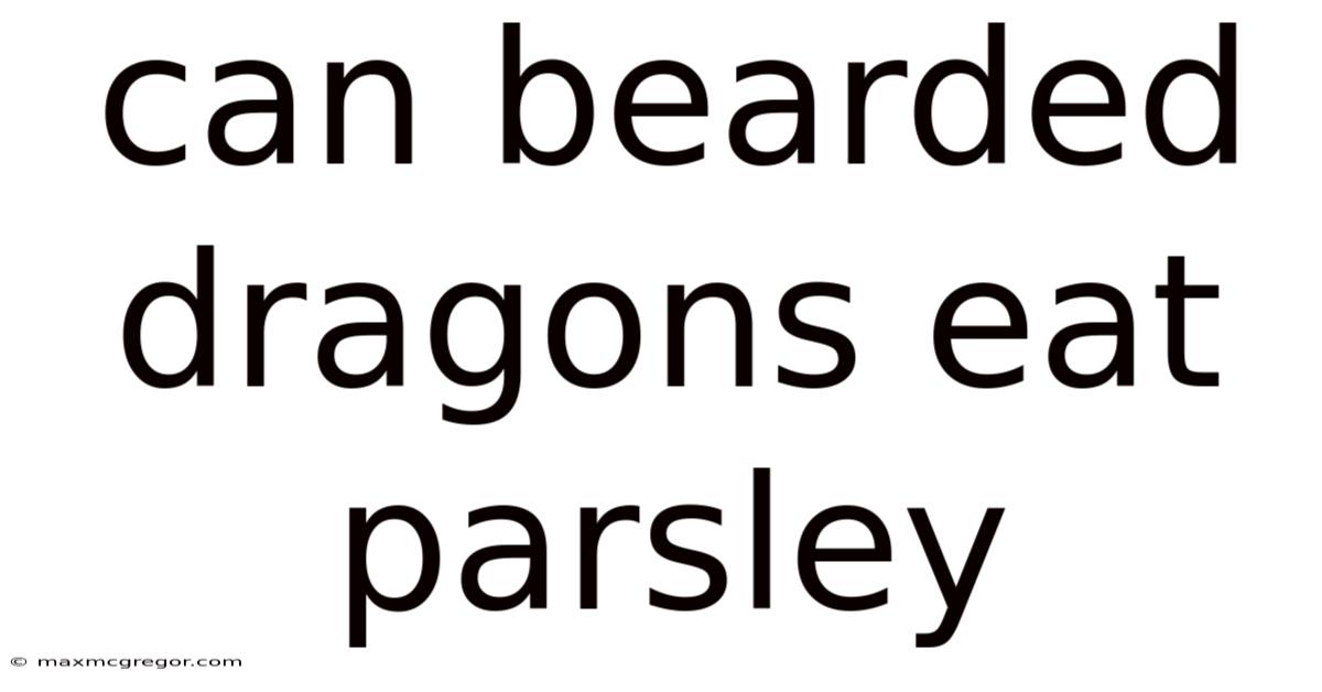 Can Bearded Dragons Eat Parsley