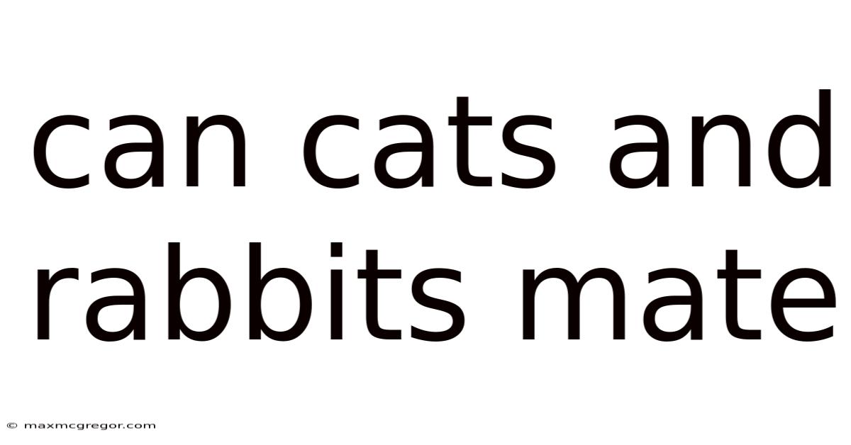 Can Cats And Rabbits Mate
