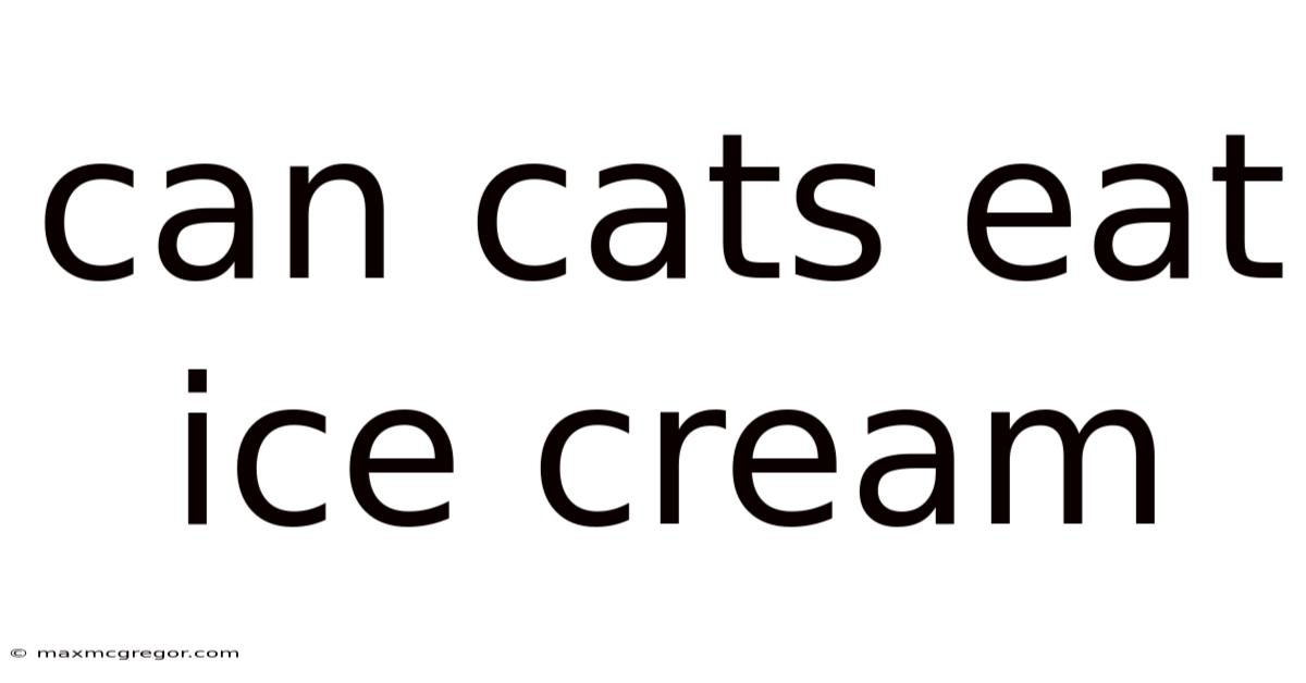 Can Cats Eat Ice Cream