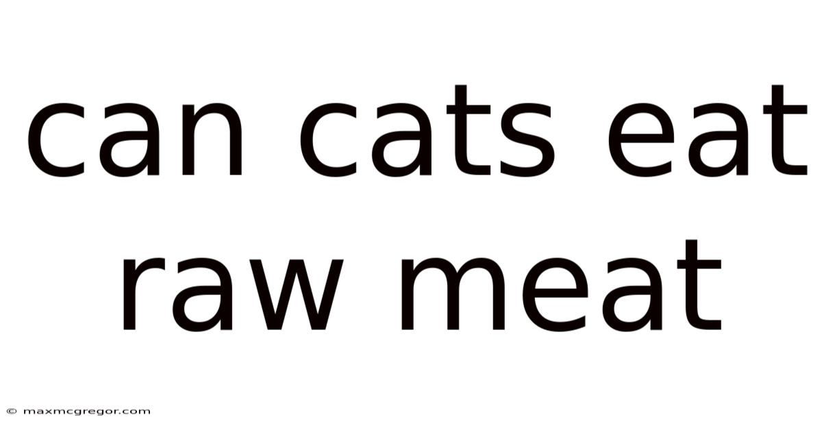 Can Cats Eat Raw Meat