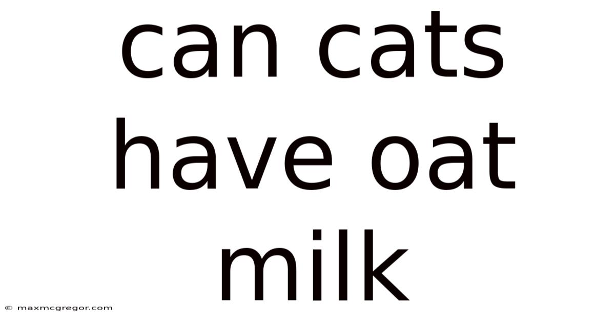 Can Cats Have Oat Milk