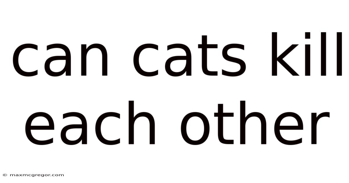 Can Cats Kill Each Other