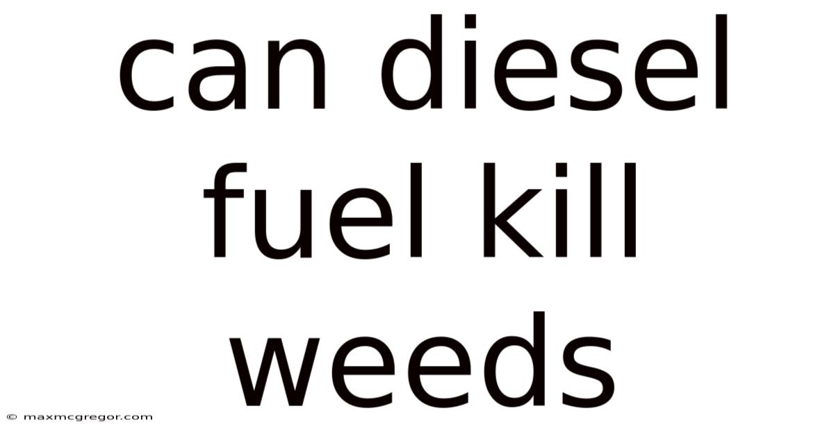 Can Diesel Fuel Kill Weeds