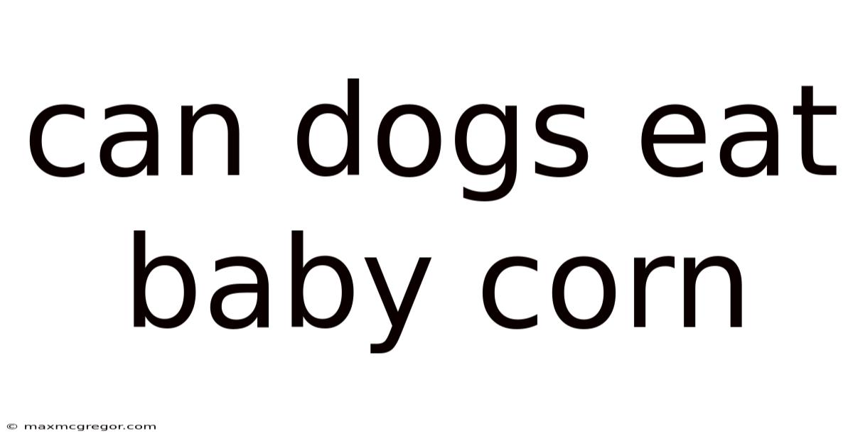 Can Dogs Eat Baby Corn