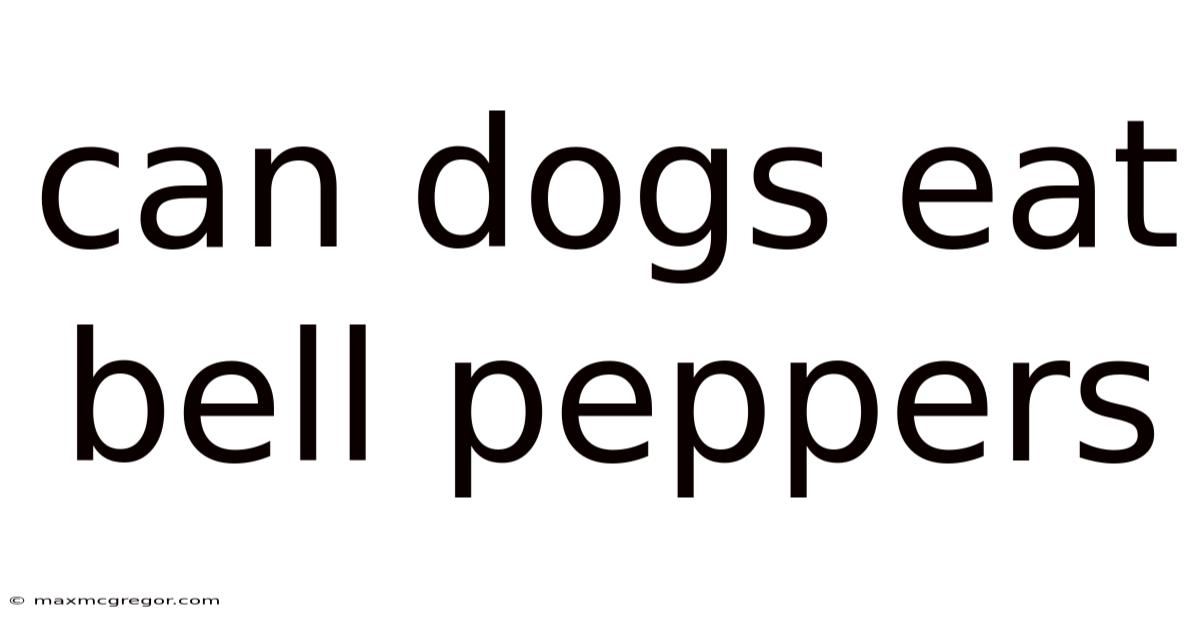 Can Dogs Eat Bell Peppers