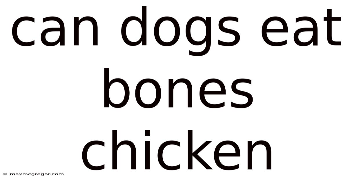 Can Dogs Eat Bones Chicken