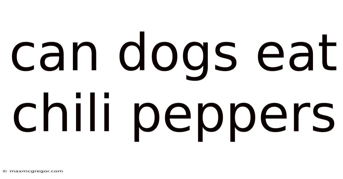 Can Dogs Eat Chili Peppers