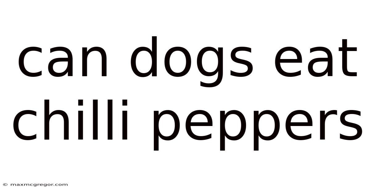 Can Dogs Eat Chilli Peppers