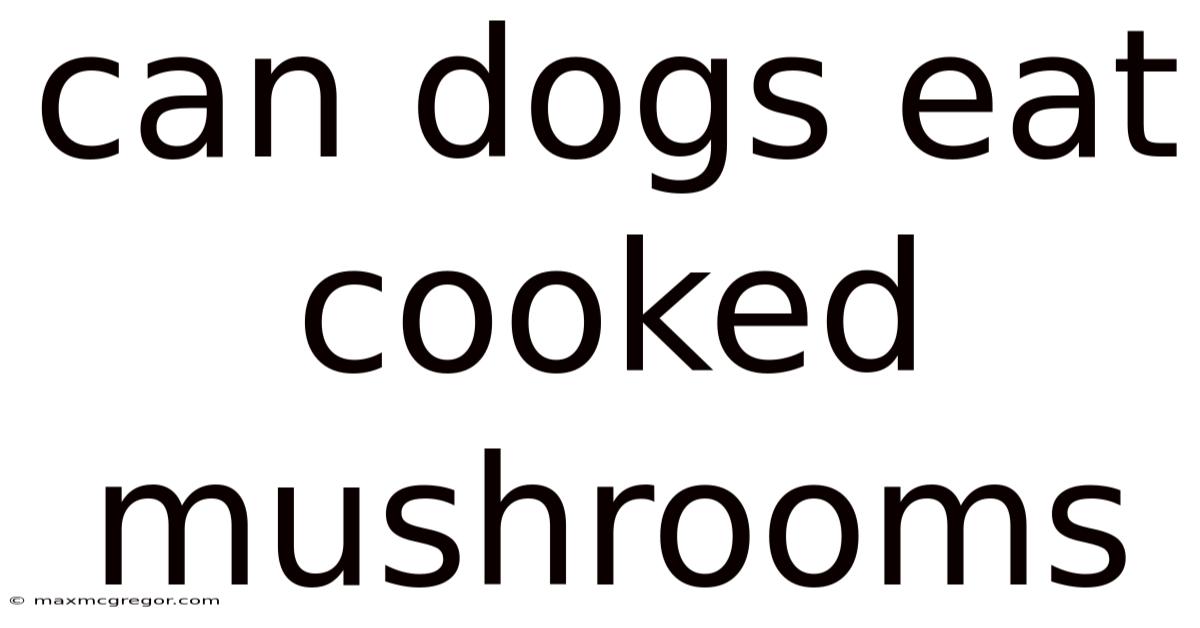 Can Dogs Eat Cooked Mushrooms