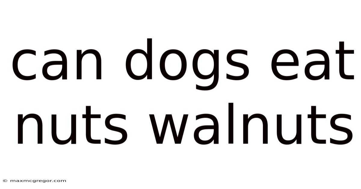 Can Dogs Eat Nuts Walnuts