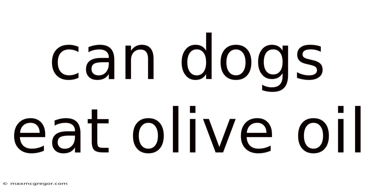 Can Dogs Eat Olive Oil