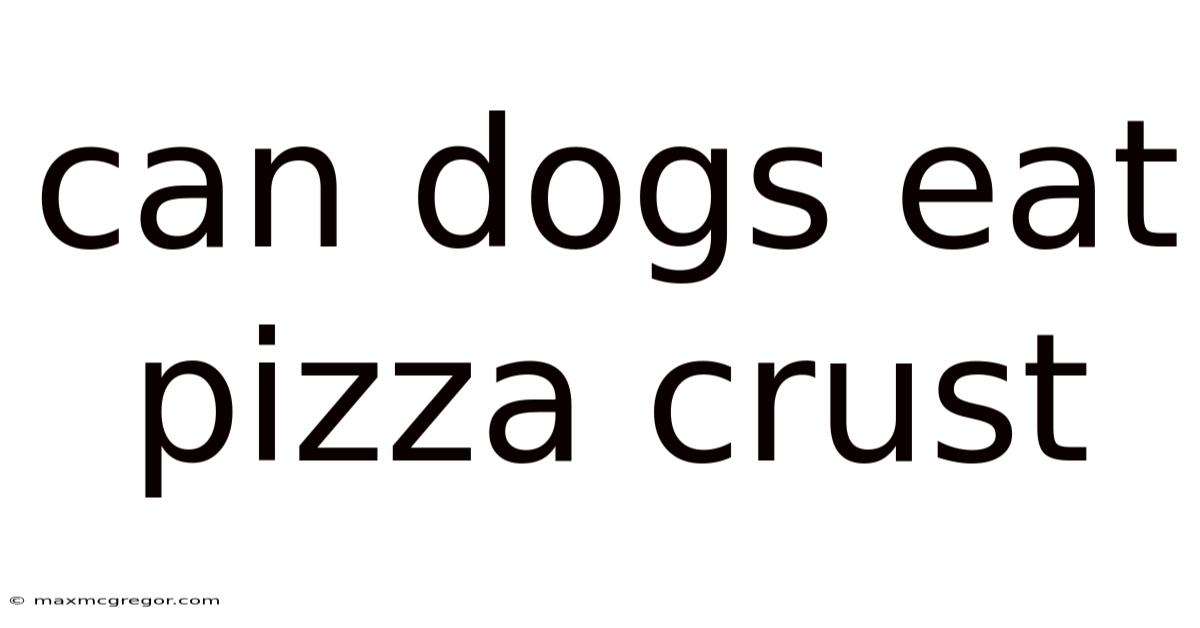 Can Dogs Eat Pizza Crust