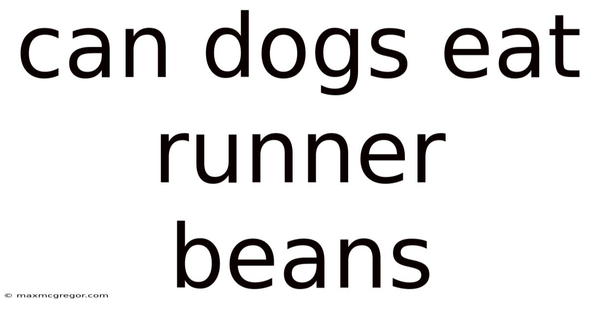 Can Dogs Eat Runner Beans