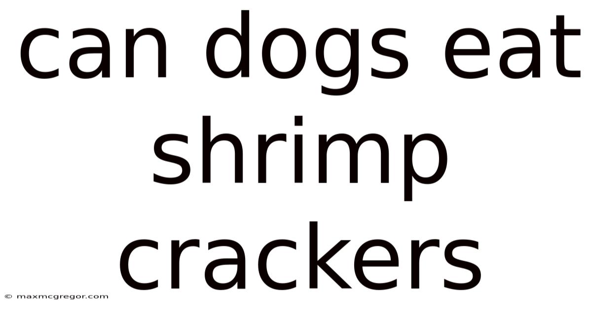 Can Dogs Eat Shrimp Crackers