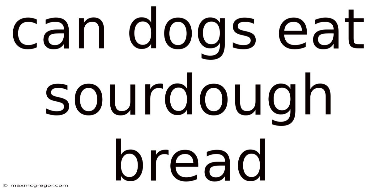 Can Dogs Eat Sourdough Bread