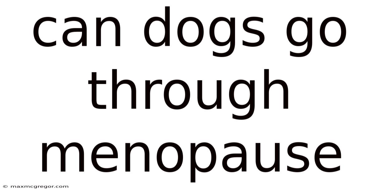 Can Dogs Go Through Menopause