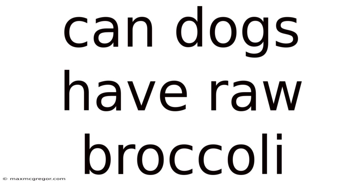 Can Dogs Have Raw Broccoli
