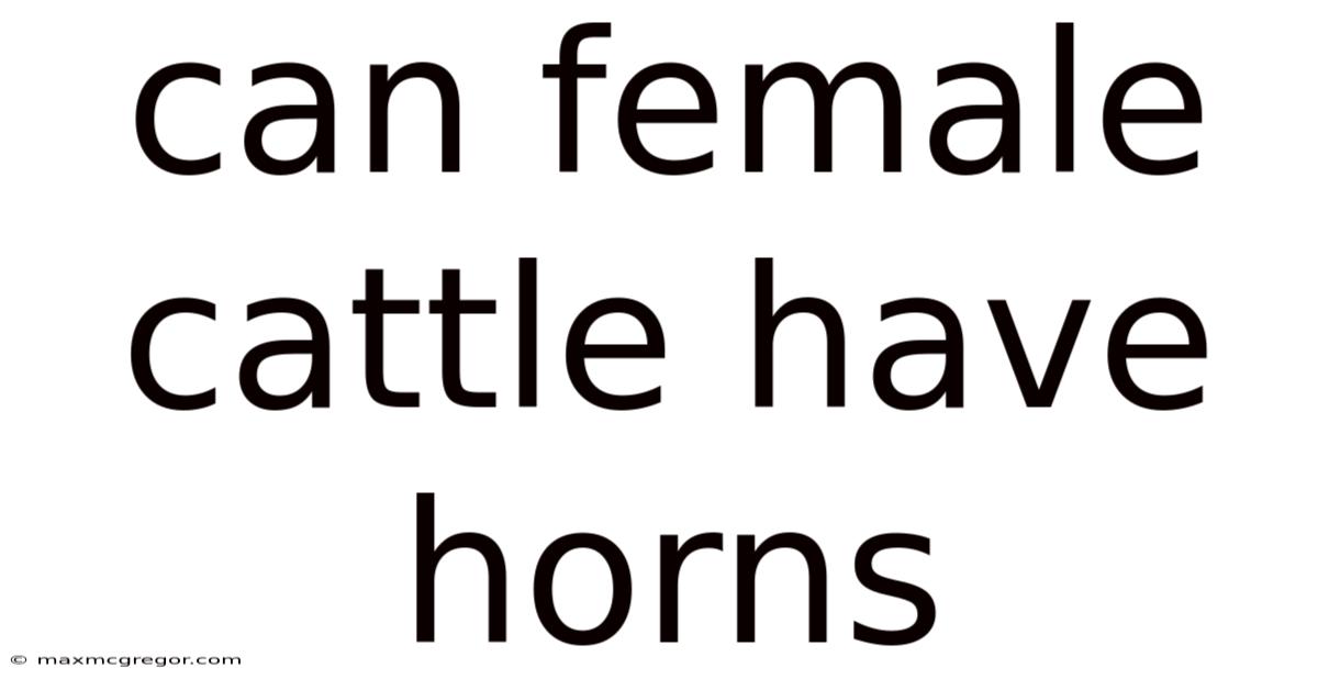 Can Female Cattle Have Horns