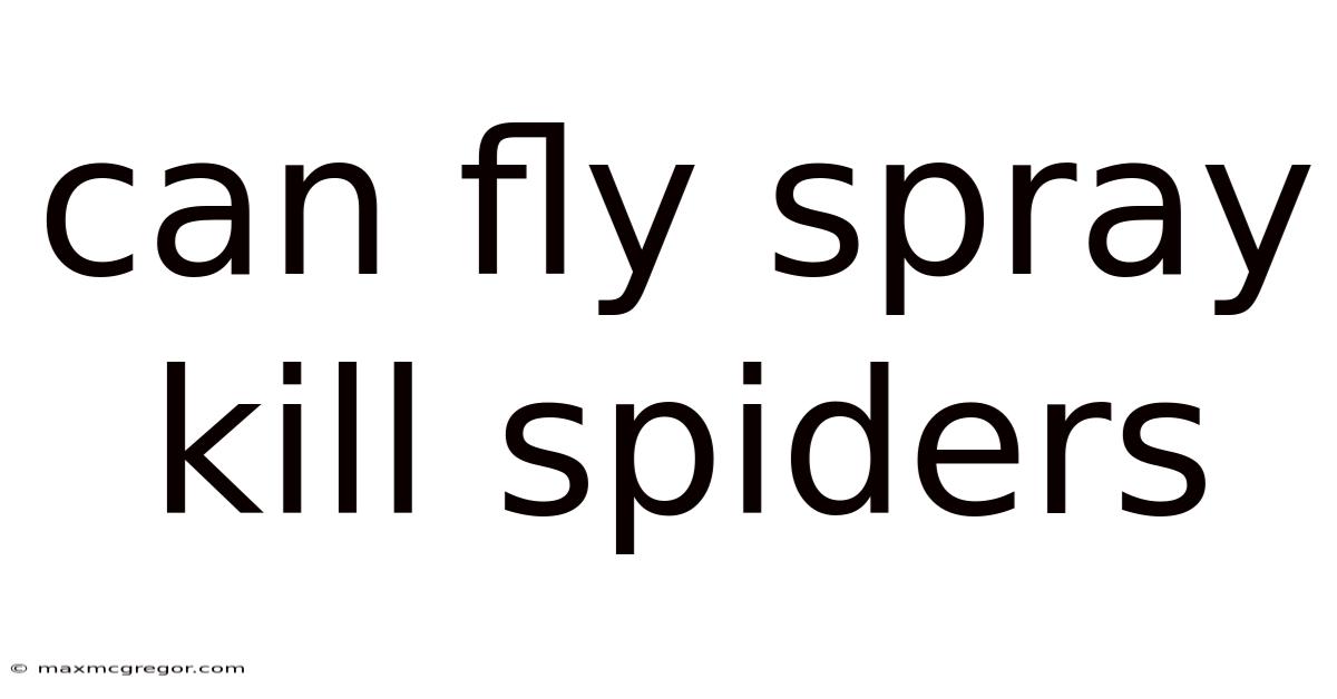 Can Fly Spray Kill Spiders